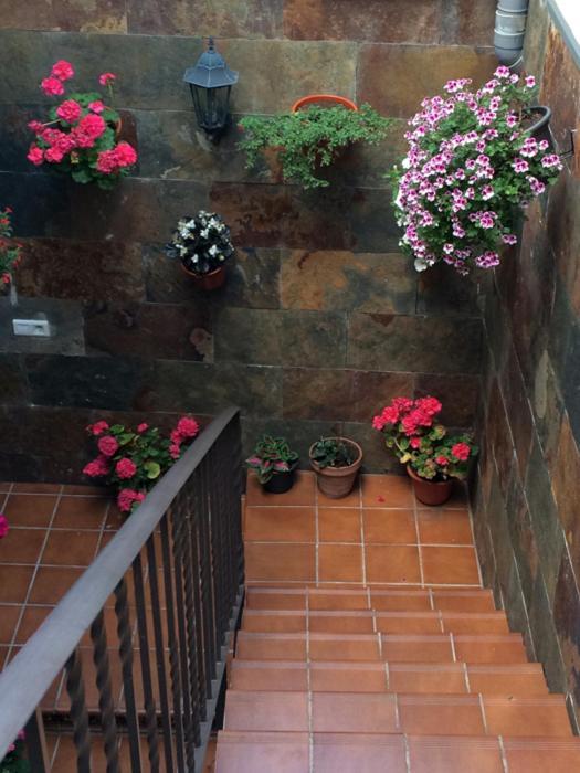 Apartamentos La Flor San Martín de Moncayo Exterior photo